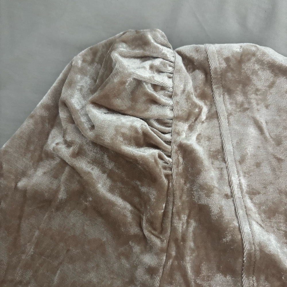 Flying Tomato Beige Champagne Crushed Velvet Top - Picture 7 of 9
